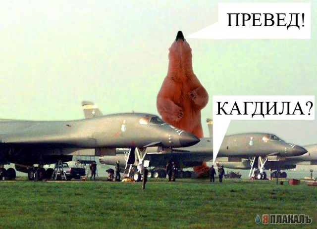Превед медвед!