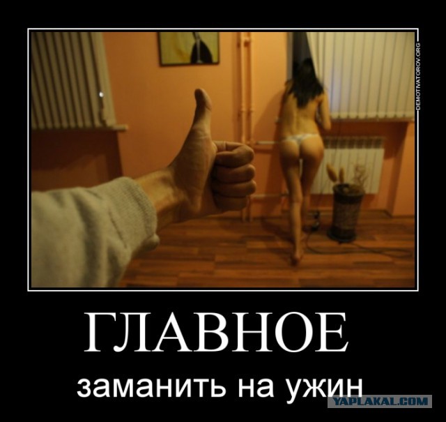 История одной картинки
