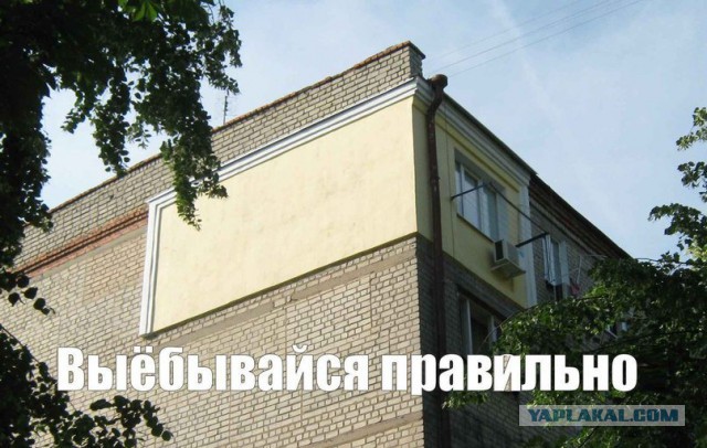 Подборка картинок