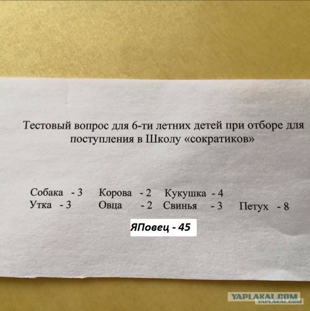 Сократики, а ну активизируйтесь