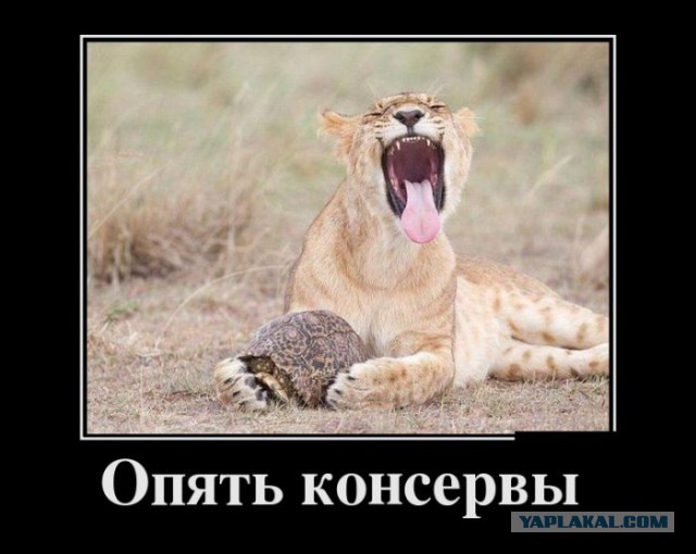 Подборка картинок и демотиваторов