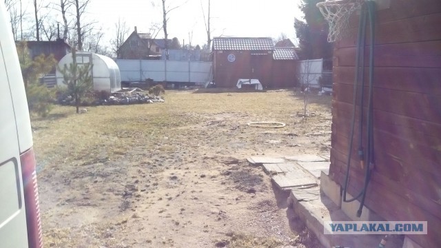 Детская площадка на даче кривыми руками