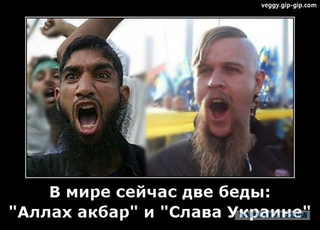 Подборка картинок