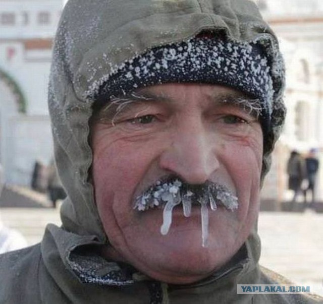 Яповцы, оновогоживайтесь!