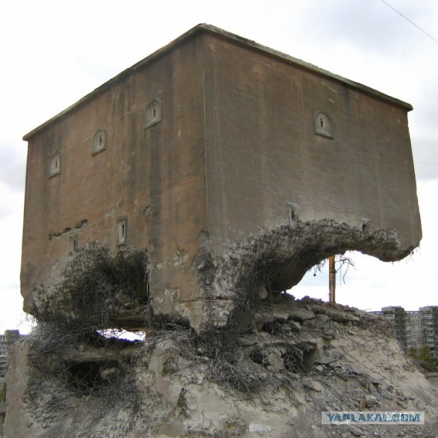 Калининград