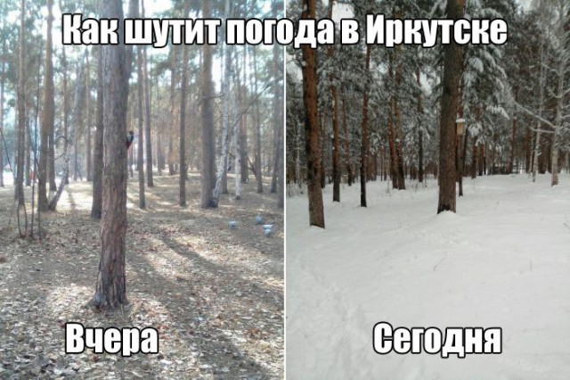 Подборка безудержного веселья