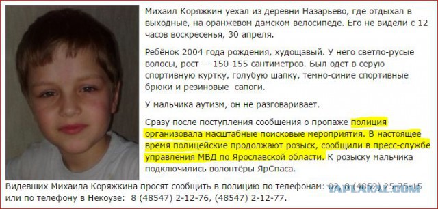 Волонтеры считают, что пропавшего в Ярославской области мальчика можно было спасти.