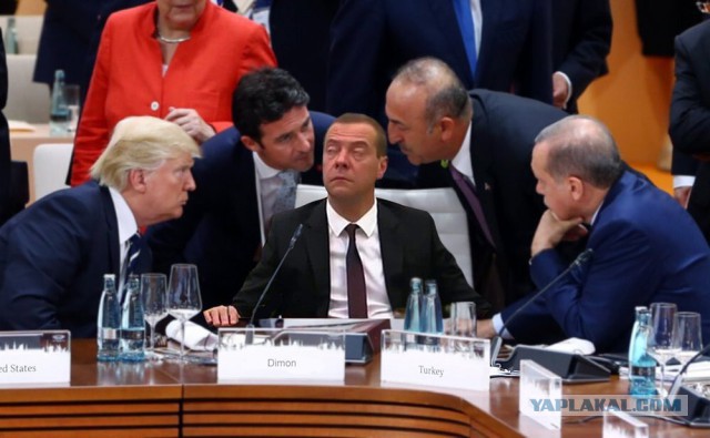 Гора родила мышь...Уберите его уже!