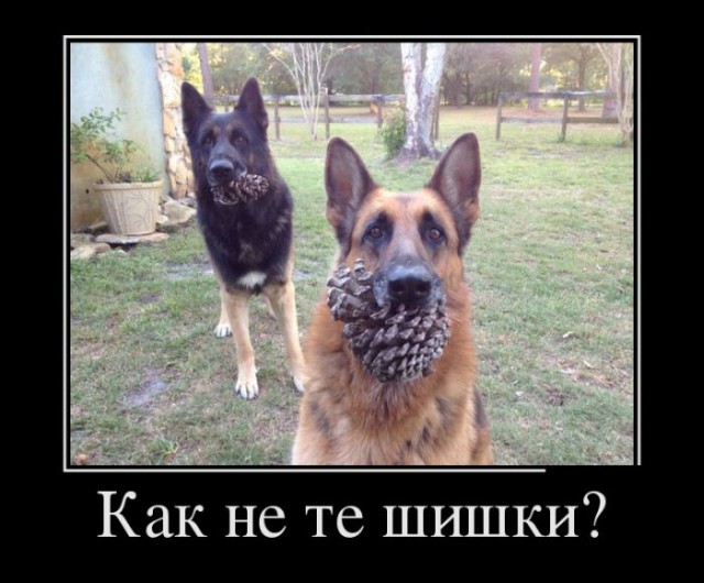Израиль покидает ЮНЕСКО