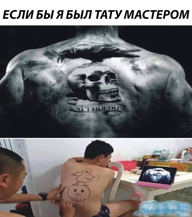 Прикольные картинки обо всём