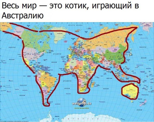 Немного интересных и добрых картинок