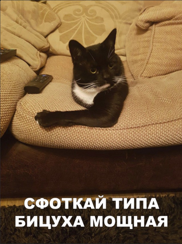 Немного милоты