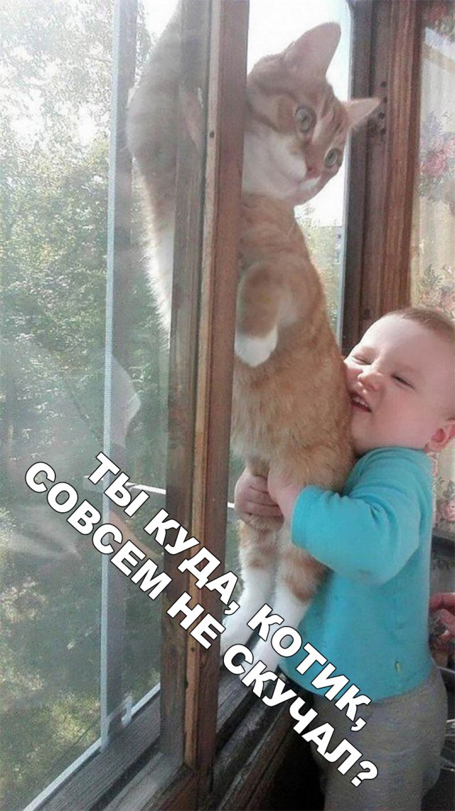Нестандартный юмор
