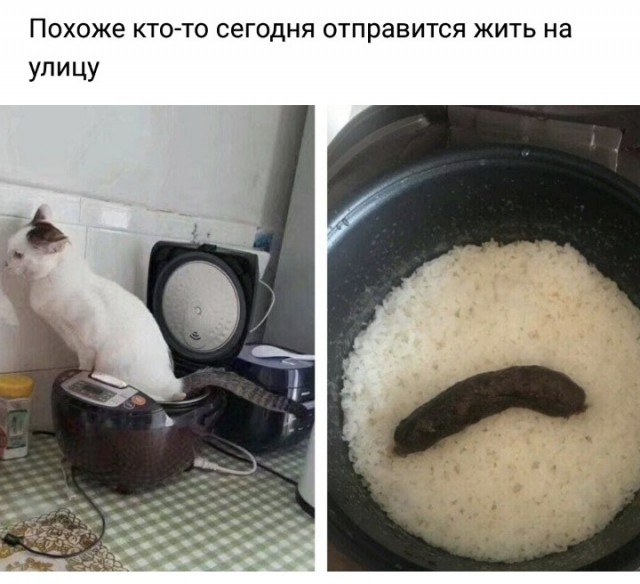 Немного картинок на вечер