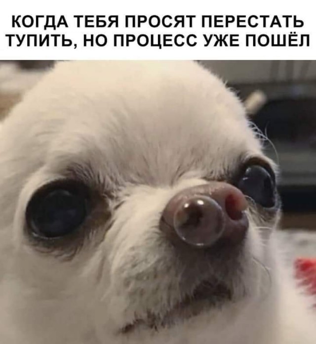Немного картинок для настроения