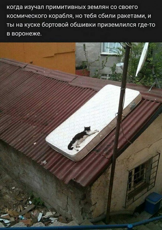 Громкие заявления