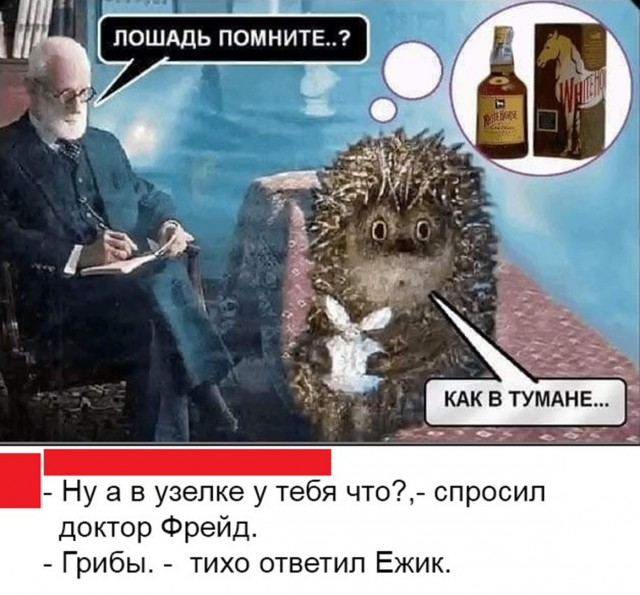 Гнобят, а потом кричат, что мужиков не осталось: психолог — о том, почему мужчина «не должен»