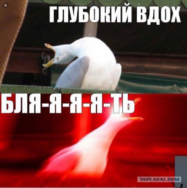 World of Warships - 8