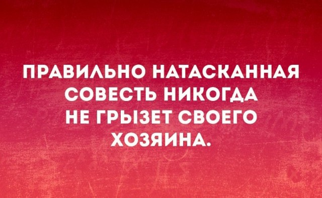 Так себе картинки 8