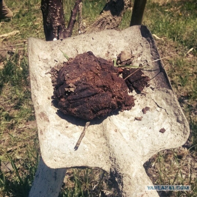 Друзья! Уже завтра у жены день рождения, что подарить?