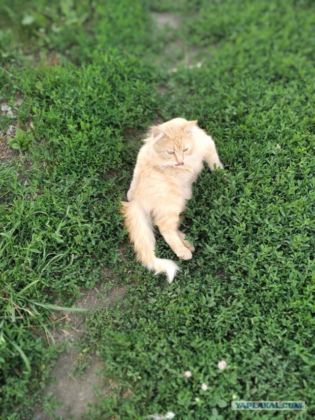 Закрытие сезона