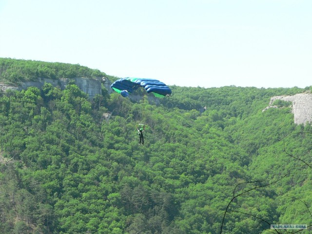 Найдена родня Славика (Летуна)