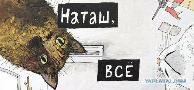 Чернушка на выходные...