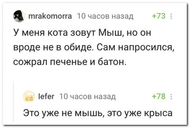 Забавные комментарии из социальных сетей 19.07.21