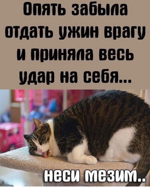 Так себе картинки 11.09.21