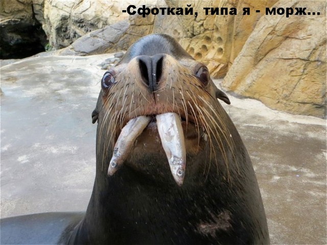 Так себе картинки 12.09.21