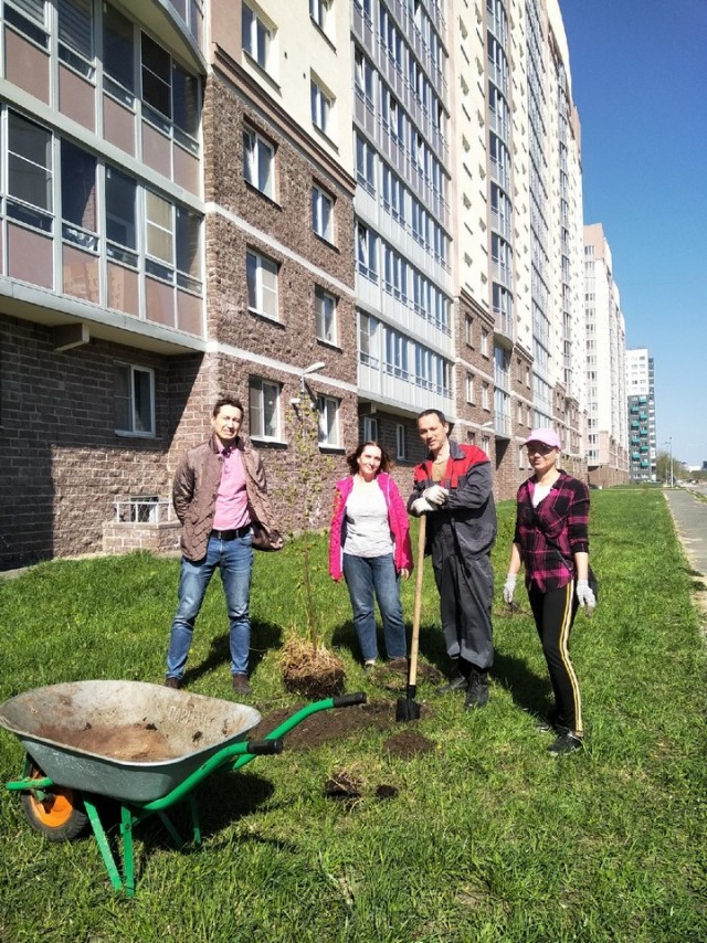 Свежая зелень