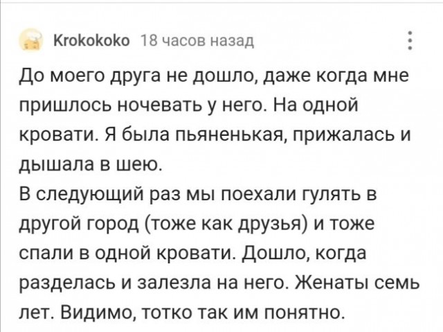 Весёлый полтишок 11.11