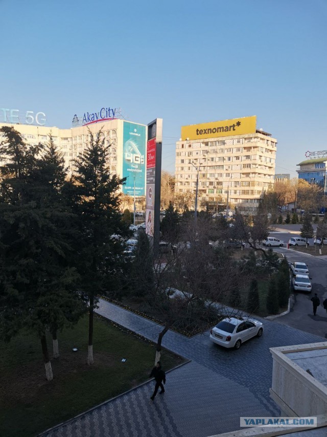 Из окна моего дома