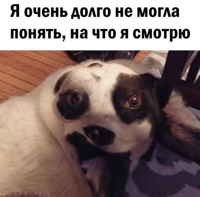 Всяческие картинки 15.12.2021
