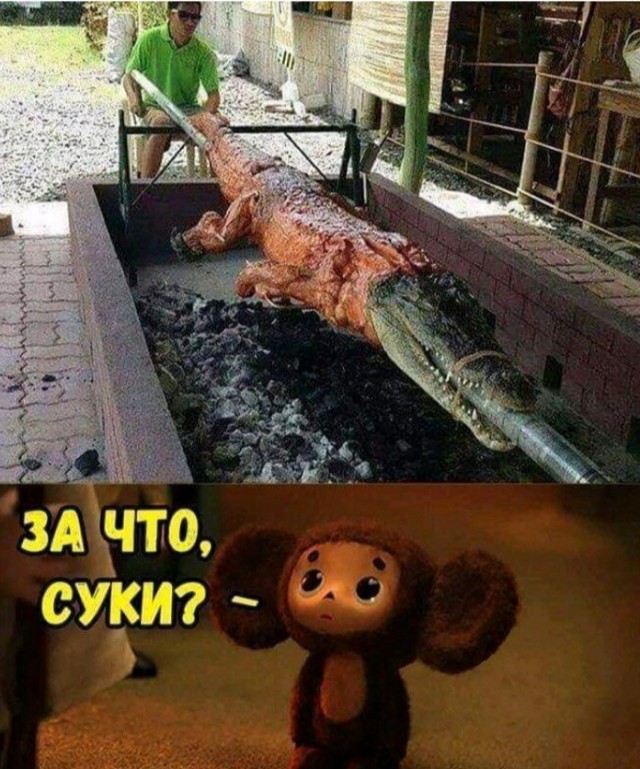 Зачем славяне истребили у себя всех крокодилов?
