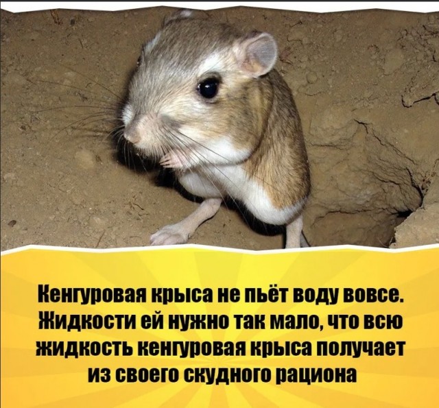 70 удивительных фактов