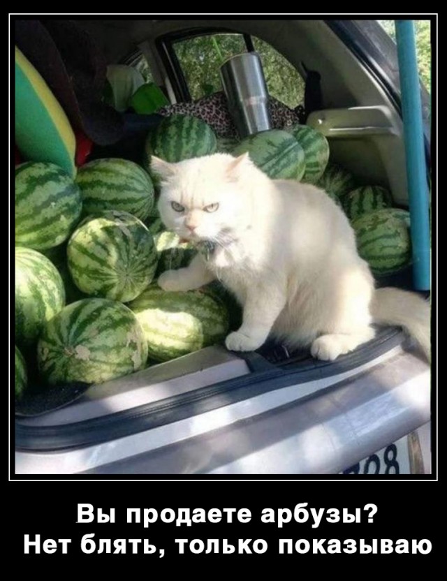 Немного картинок и прочей хреноты Vol. 10