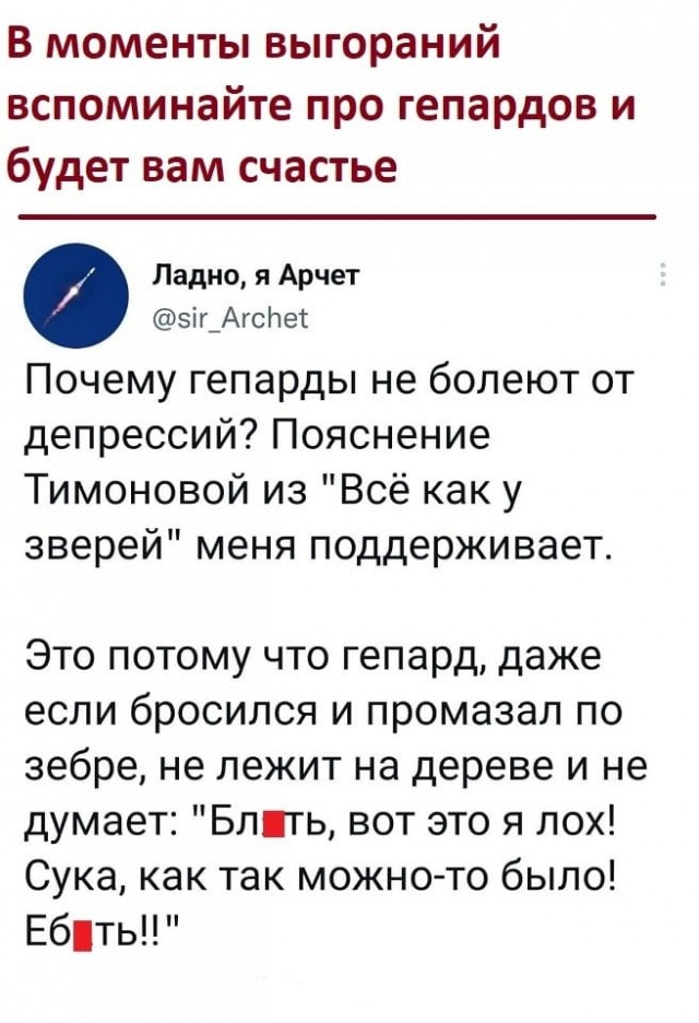 Так себе картинки 20.06.22