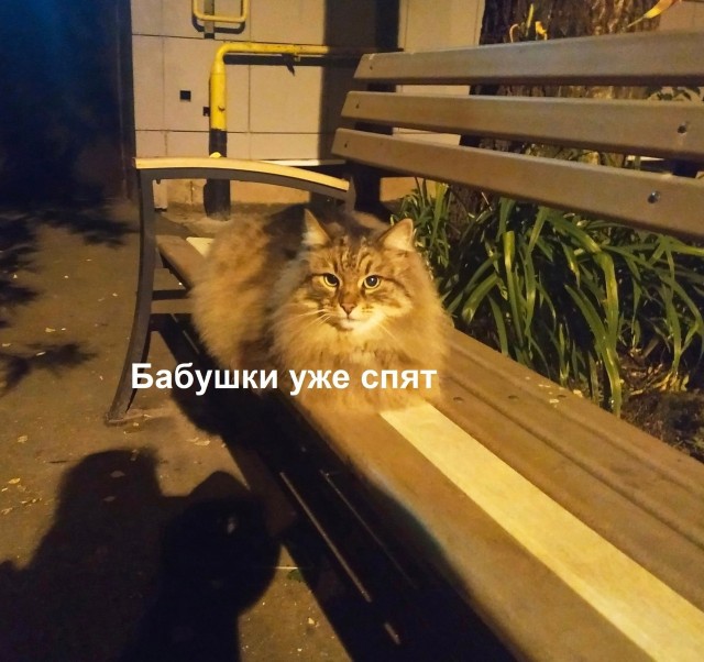 Так себе картинки 22.07.22