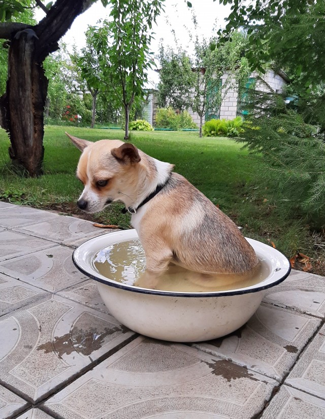 На небесах только и говорят, что о море