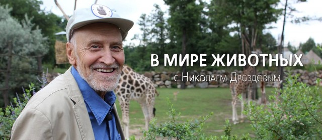 Ревнивая москвичка испортила поездку мужа и его секретарши