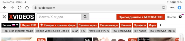 Xvideo всё. Как жить то дальше?