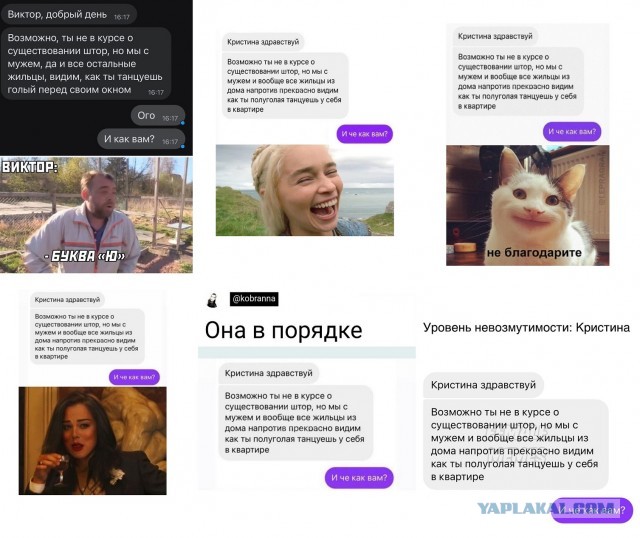 Весёлый полтишок 10.11.22