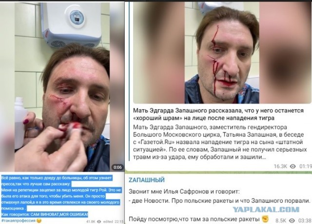 Тигр повредил лицо Эдгару Запашному