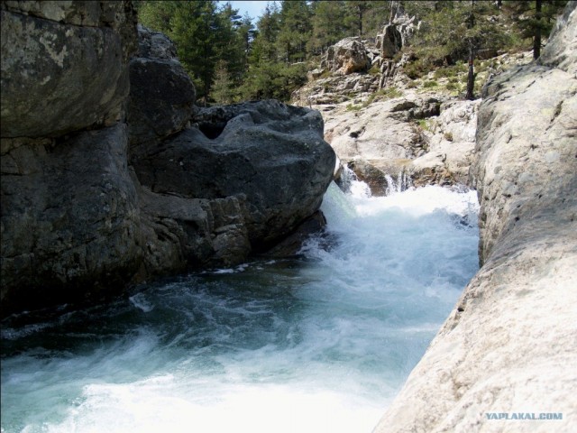 Франция. Корсика.