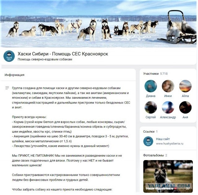 Прекратите разводить ХАСКИ!