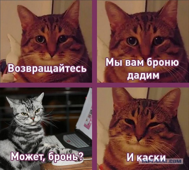 Минцифры создаст программу по возвращению в Россию уехавших айтишников