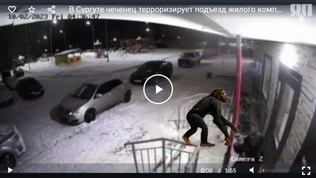 В Сургуте чеченец терроризирует подъезд жилого комплекса
