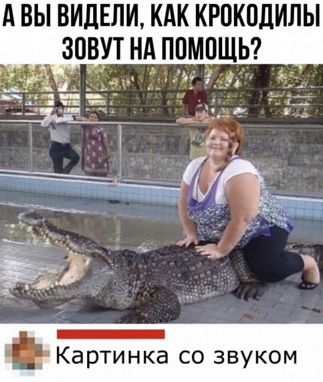 Не смешные глупые картинки