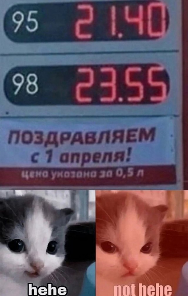 Картинки и мемы, всем хороших выходных